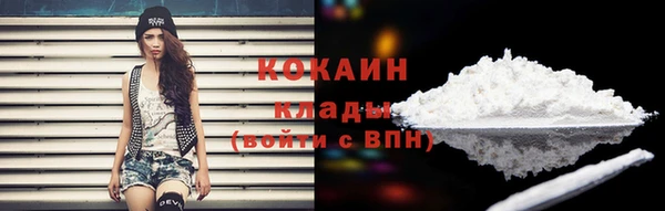 крисы Армянск