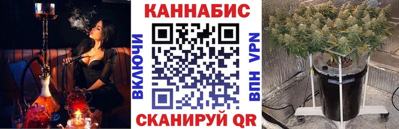 закладка  Кемь  Шишки марихуана ГИДРОПОН 